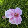 Pink orchidea hajcsipesz, hajbavaló virág.