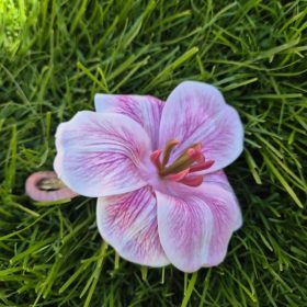 Pink orchidea hajcsipesz, hajbavaló virág.