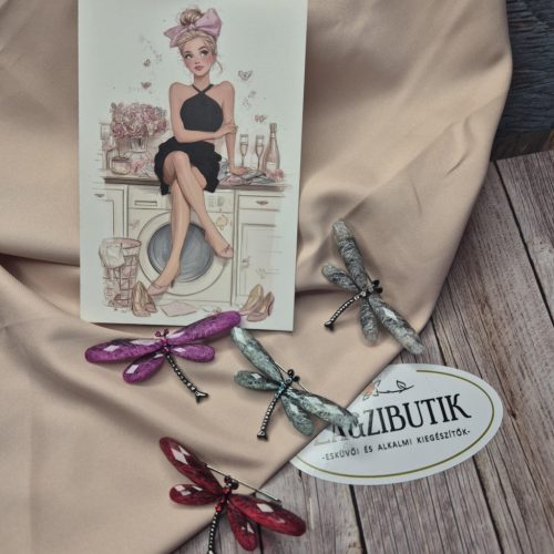 Szitakötő, színes kitűző.